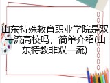 山东特殊教育职业学院是双一流高校吗，简单介绍(山东特教非双一流)