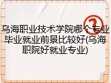乌海职业技术学院哪个专业毕业就业前景比较好(乌海职院好就业专业)