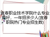 宜春职业技术学院什么专业最好，一年招多少人(宜春职院热门专业招生数)