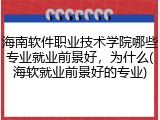 海南软件职业技术学院哪些专业就业前景好，为什么(海软就业前景好的专业)