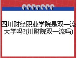 四川财经职业学院是双一流大学吗?(川财院双一流吗)