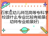 石家庄幼儿师范高等专科学校读什么专业比较有前景(幼师专业前景好)