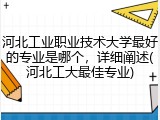 河北工业职业技术大学最好的专业是哪个，详细阐述(河北工大最佳专业)