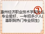 惠州经济职业技术学院什么专业最好，一年招多少人(惠职院热门专业招生)