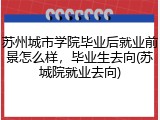 苏州城市学院毕业后就业前景怎么样，毕业生去向(苏城院就业去向)