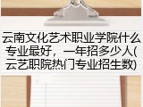 云南文化艺术职业学院什么专业最好，一年招多少人(云艺职院热门专业招生数)