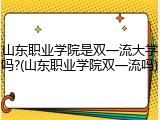 山东职业学院是双一流大学吗?(山东职业学院双一流吗)