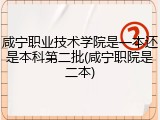 咸宁职业技术学院是一本还是本科第二批(咸宁职院是二本)
