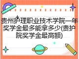贵州护理职业技术学院一年奖学金最多能拿多少(贵护院奖学金最高额)