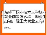 广东轻工职业技术大学毕业后就业前景怎么样，毕业生去向(广轻工大就业去向)