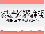 九州职业技术学院一年学费多少钱，还有哪些费用("九州职院学费及费用")