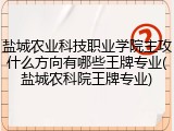 盐城农业科技职业学院主攻什么方向有哪些王牌专业(盐城农科院王牌专业)