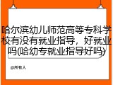 哈尔滨幼儿师范高等专科学校有没有就业指导，好就业吗(哈幼专就业指导好吗)