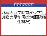 北海职业学院有多少学生，师资力量如何(北海职院师生概况)