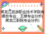 黑龙江旅游职业技术学院有哪些专业，王牌专业分析(黑龙江职院专业分析)