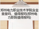 郑州电力职业技术学院含金量量吗，值得报吗(郑州电力职院值得报吗)