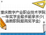 重庆数字产业职业技术学院一年奖学金最多能拿多少(渝数职院最高奖学金)