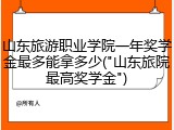 山东旅游职业学院一年奖学金最多能拿多少("山东旅院最高奖学金")