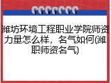 潍坊环境工程职业学院师资力量怎么样，名气如何(潍职师资名气)