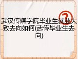 武汉传媒学院毕业生就业大致去向如何(武传毕业生去向)