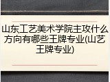 山东工艺美术学院主攻什么方向有哪些王牌专业(山艺王牌专业)