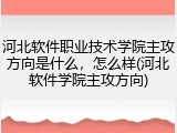 河北软件职业技术学院主攻方向是什么，怎么样(河北软件学院主攻方向)
