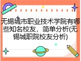无锡城市职业技术学院有哪些知名校友，简单分析(无锡城职院校友分析)