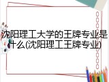 沈阳理工大学的王牌专业是什么(沈阳理工王牌专业)