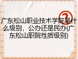 广东松山职业技术学院是什么级别，公办还是民办(广东松山职院性质级别)