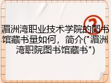 湄洲湾职业技术学院的图书馆藏书量如何，简介("湄洲湾职院图书馆藏书")