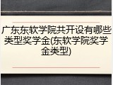 广东东软学院共开设有哪些类型奖学金(东软学院奖学金类型)