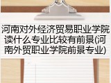 河南对外经济贸易职业学院读什么专业比较有前景(河南外贸职业学院前景专业)