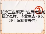 长沙工业学院毕业后就业前景怎么样，毕业生去向(长沙工院就业去向)
