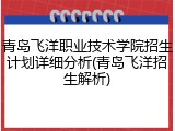青岛飞洋职业技术学院招生计划详细分析(青岛飞洋招生解析)