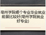 亳州学院哪个专业毕业就业前景比较好(亳州学院就业好专业)