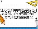 江苏电子信息职业学院是什么级别，公办还是民办(江苏电子信息职院属性)