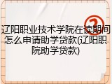 辽阳职业技术学院在读期间怎么申请助学贷款(辽阳职院助学贷款)