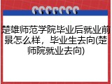 楚雄师范学院毕业后就业前景怎么样，毕业生去向(楚师院就业去向)
