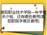襄阳职业技术学院一年学费多少钱，还有哪些费用(襄阳职院学费及费用)