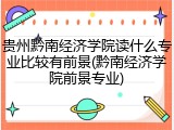 贵州黔南经济学院读什么专业比较有前景(黔南经济学院前景专业)