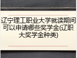 辽宁理工职业大学就读期间可以申请哪些奖学金(辽职大奖学金种类)