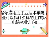 哈尔滨电力职业技术学院毕业可以找什么样的工作(哈电院就业方向)