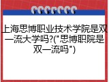 上海思博职业技术学院是双一流大学吗?("思博职院是双一流吗")