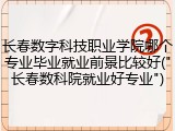 长春数字科技职业学院哪个专业毕业就业前景比较好("长春数科院就业好专业")