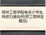 郑州工商学院有多少学生，师资力量如何(郑工商师生概况)
