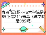 青岛飞洋职业技术学院是985还是211(青岛飞洋学院是985吗)