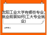 沈阳工业大学有哪些专业，就业前景如何(工大专业就业)