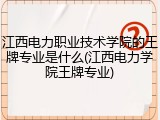 江西电力职业技术学院的王牌专业是什么(江西电力学院王牌专业)