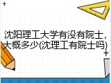 沈阳理工大学有没有院士，大概多少(沈理工有院士吗)