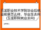 玉溪职业技术学院毕业后就业前景怎么样，毕业生去向(玉溪职院就业去向)